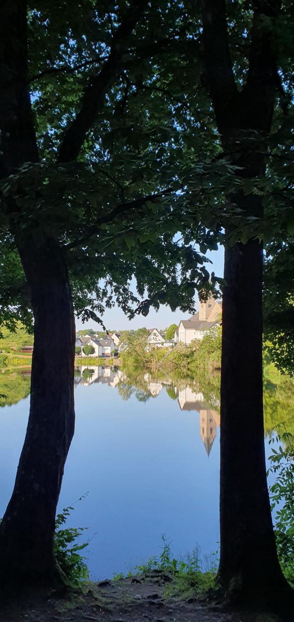 Ferienwohnung Maarburg Ulmen Oda fotoğraf